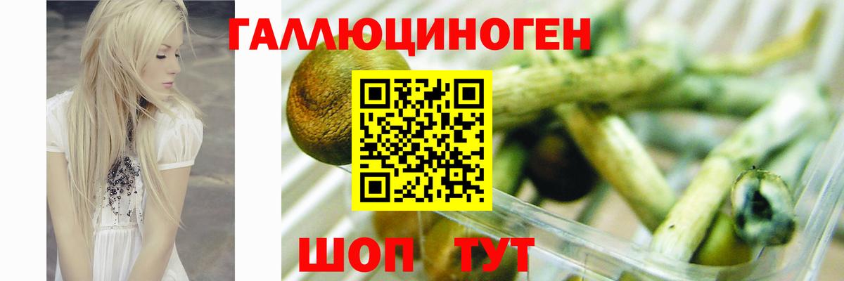 Псилоцибиновые грибы Psilocybe  Вход с VPN  Ростов-на-Дону  купить закладку  Галлюциногенные грибы мицелий 
