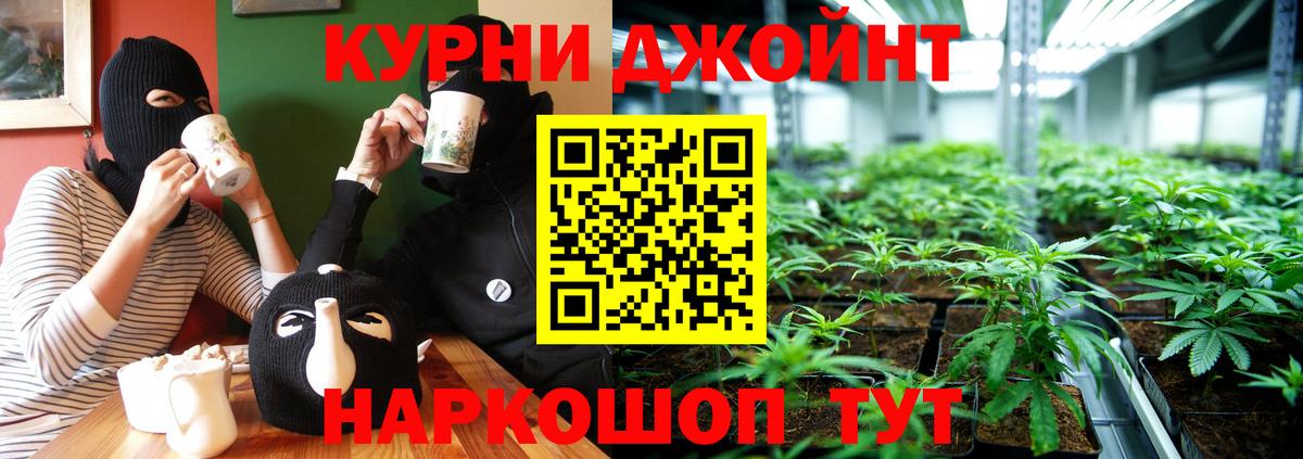 Конопля White Widow  Вход с VPN  Ростов-на-Дону  Каннабис Amnesia  Марихуана конопля 